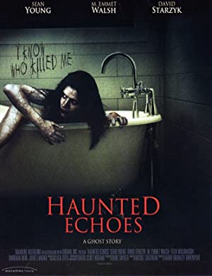 Haunted Echoes Poster