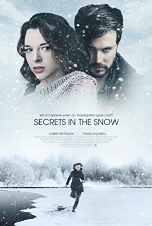 Secrets in the Snow Poster