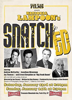 Snatched Poster