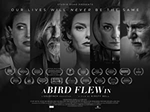 A Bird Flew In Poster