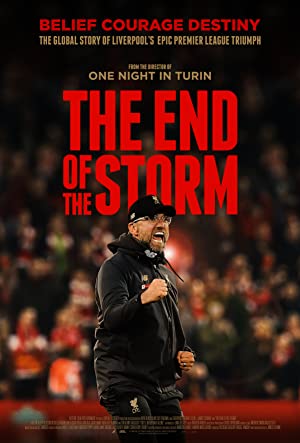 The End of the Storm Poster