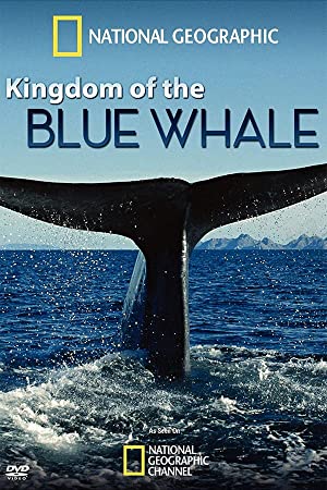 Kingdom of the Blue Whale Poster