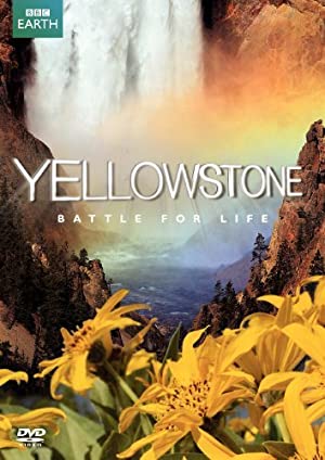 Yellowstone Poster