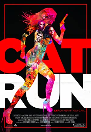 Cat Run Poster