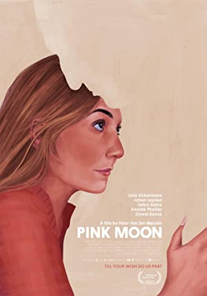 Pink Moon Poster