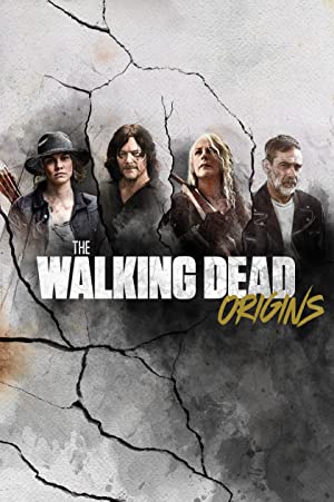 The Walking Dead: Origins Poster