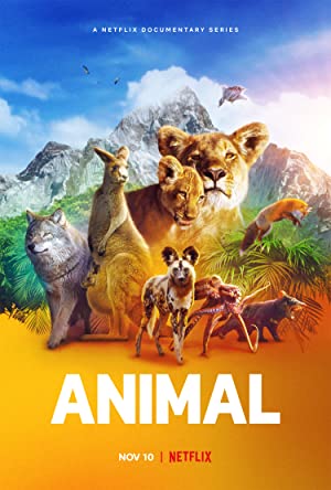 Animal Poster