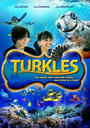 Turkles Poster