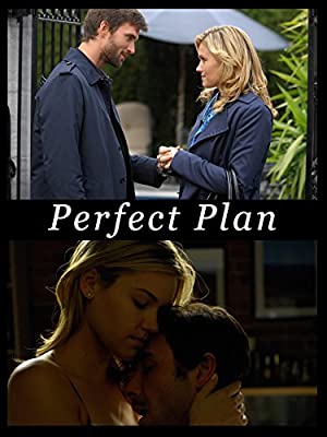 Perfect Plan Poster