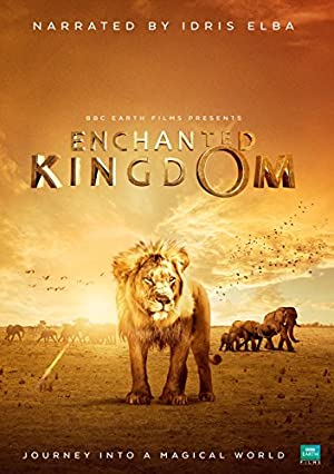 Enchanted Kingdom Poster