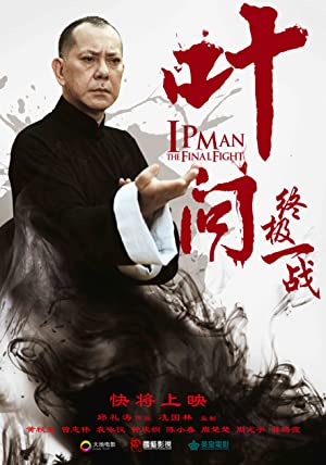 Ip Man: The Final Fight Poster