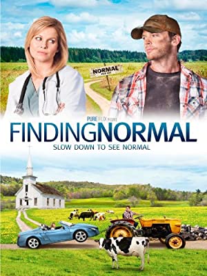 Finding Normal Poster