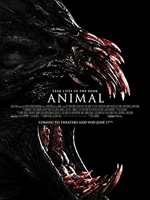 Animal Poster