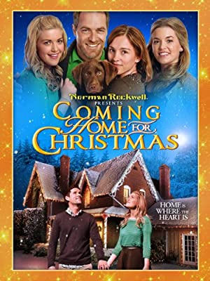 Coming Home for Christmas Poster