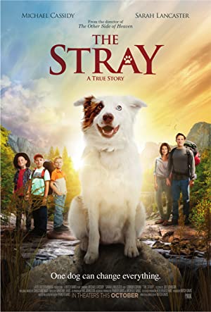 The Stray Poster