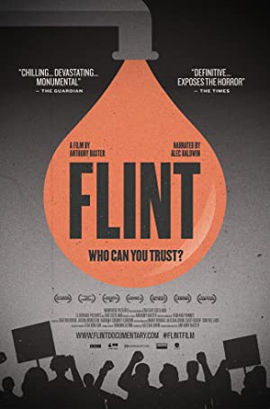 Flint Poster