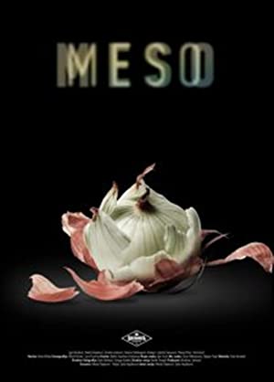 Meso Poster