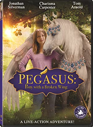 Pegasus: Pony with a Broken Wing Poster