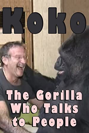 Koko: The Gorilla Who Talks to People Poster