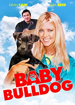 Baby Bulldog Poster