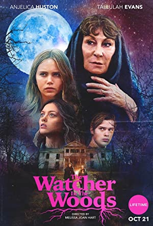 The Watcher in the Woods Poster