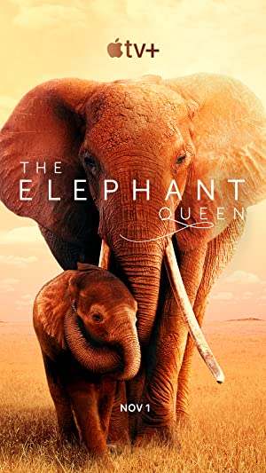 The Elephant Queen Poster