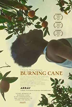 Burning Cane Poster